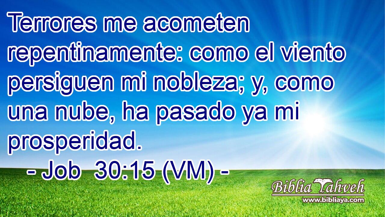  Terrores me acometen repentinamente: como el viento persiguen mi nobleza; y, como una nube, ha pasado ya mi prosperidad. 