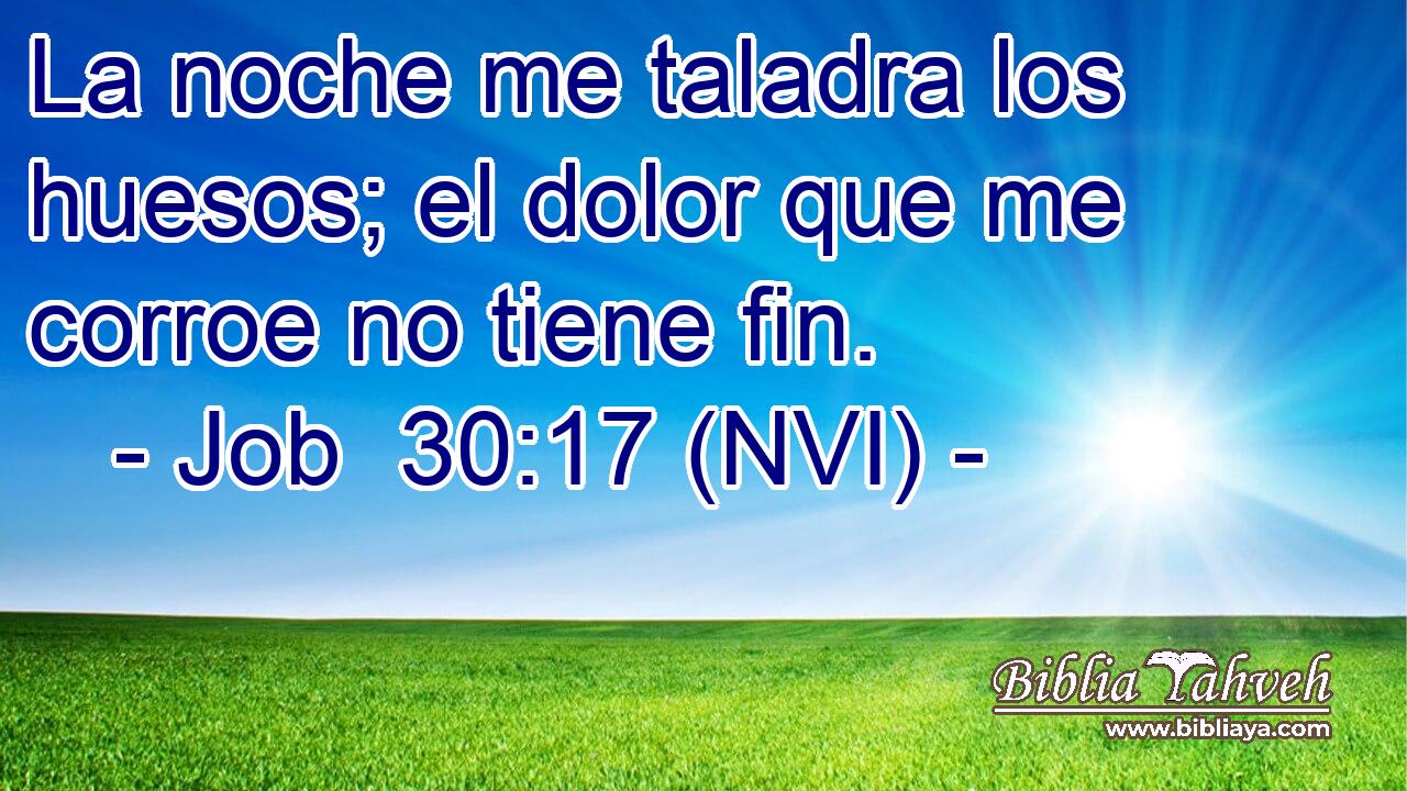  La noche me taladra los huesos; el dolor que me corroe no tiene fin. 