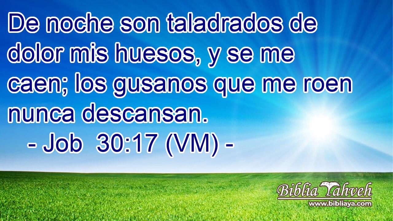 De noche son taladrados de dolor mis huesos, y se me caen; los gusanos que me roen nunca descansan. 