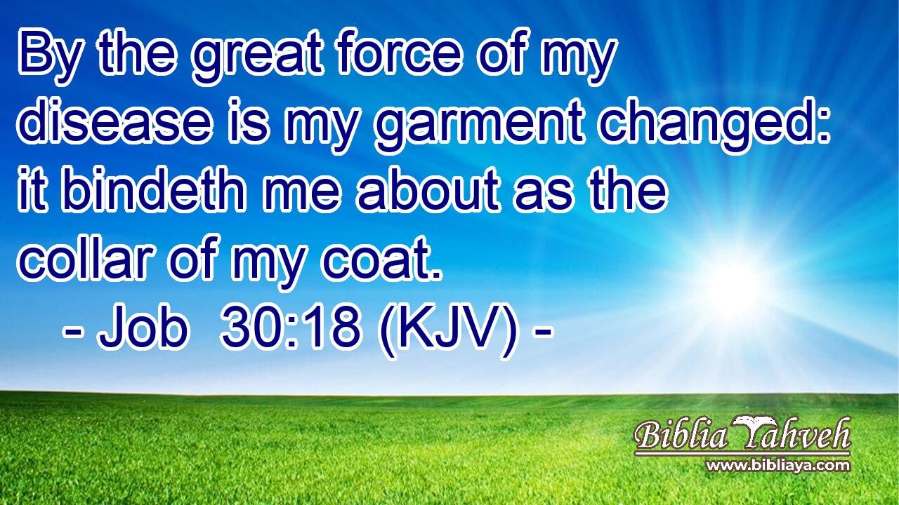 By the great force of my disease is my garment changed: it bindeth me about as the collar of my coat.