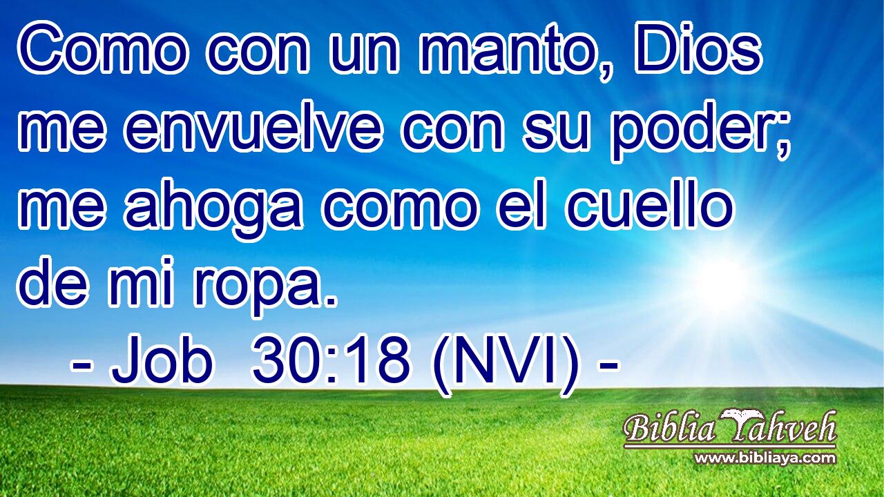  Como con un manto, Dios me envuelve con su poder; me ahoga como el cuello de mi ropa. 