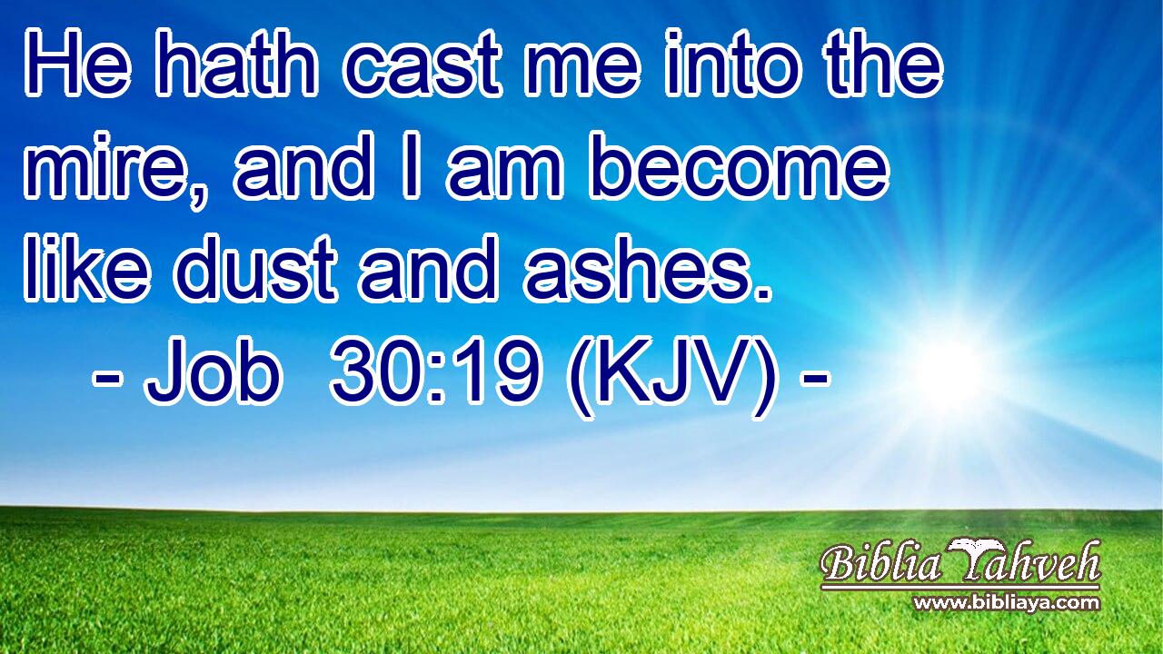 He hath cast me into the mire, and I am become like dust and ashes.