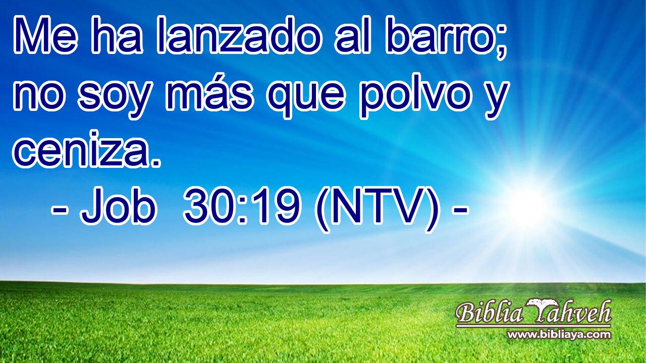 Me ha lanzado al barro; no soy más que polvo y ceniza.