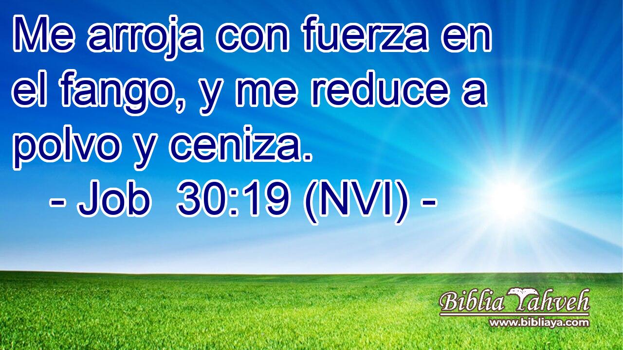  Me arroja con fuerza en el fango, y me reduce a polvo y ceniza. 