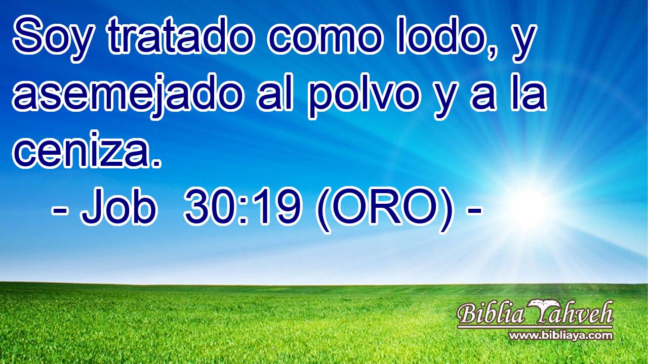  Soy tratado como lodo, y asemejado al polvo y a la ceniza. 