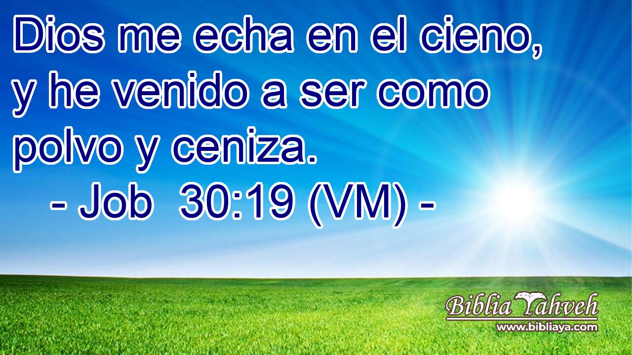  Dios me echa en el cieno, y he venido a ser como polvo y ceniza. 