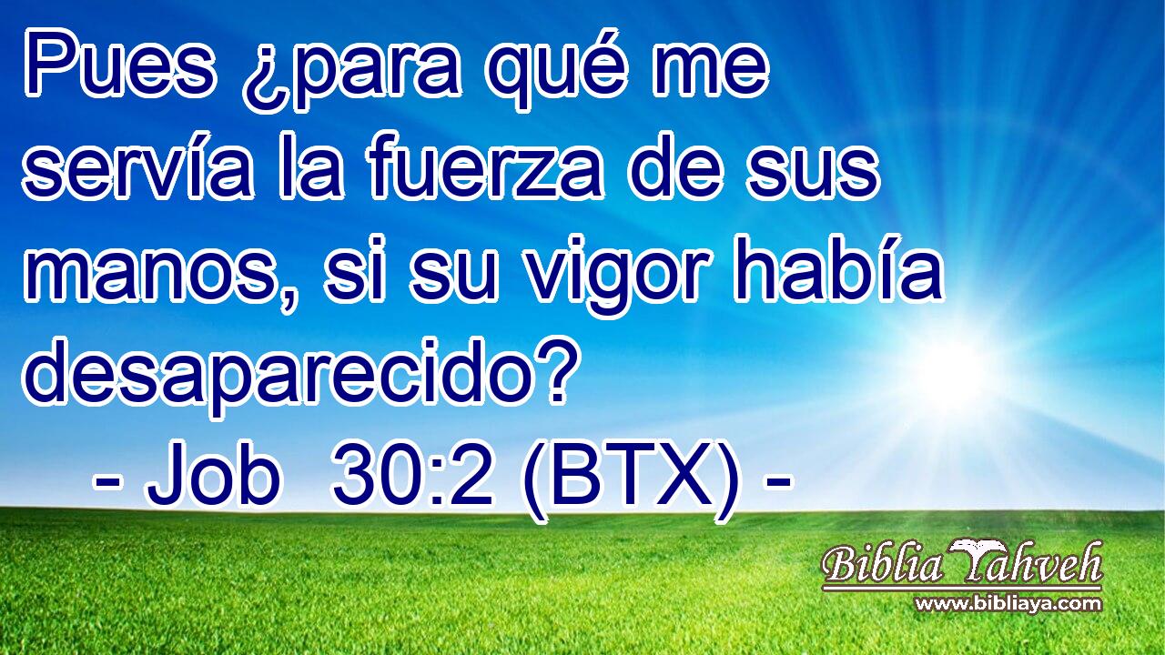 Pues ¿para qué me servía la fuerza de sus manos, si su vigor había desaparecido?