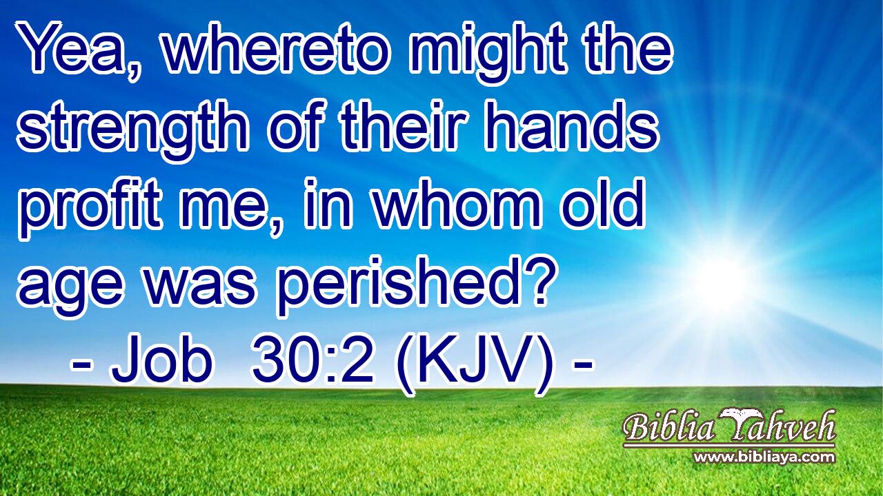 Yea, whereto might the strength of their hands profit me, in whom old age was perished?