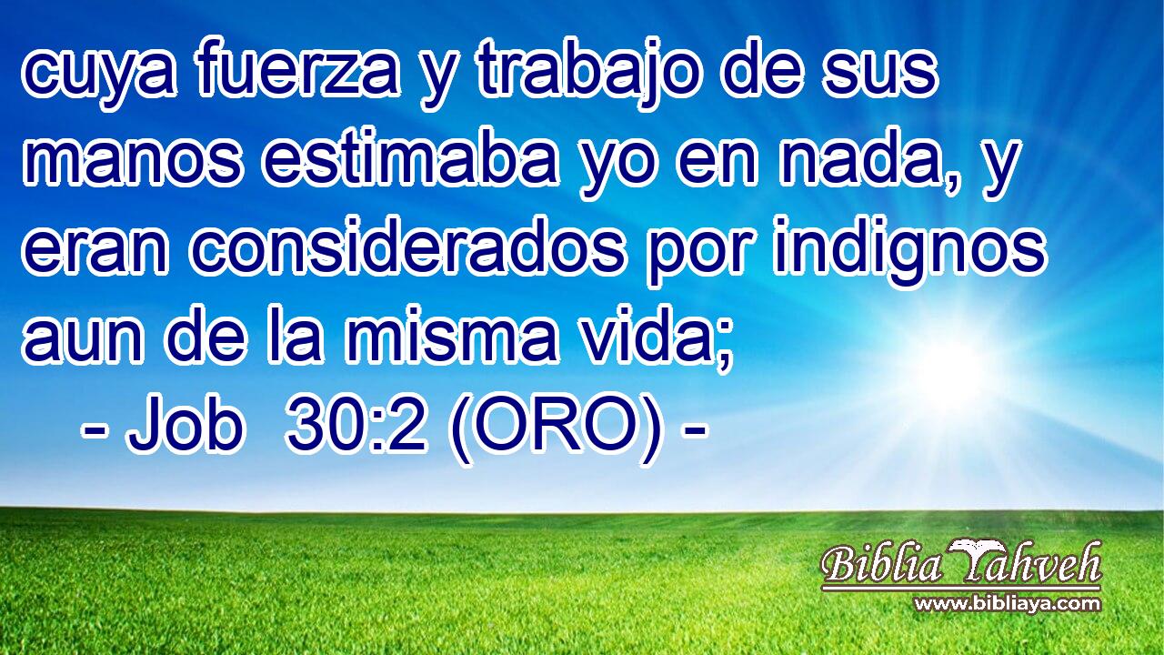  cuya fuerza y trabajo de sus manos estimaba yo en nada, y eran considerados por indignos aun de la misma vida; 