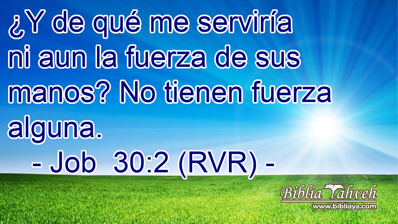 ¿Y de qué me serviría ni aun la fuerza de sus manos? No tienen fuerza alguna.
