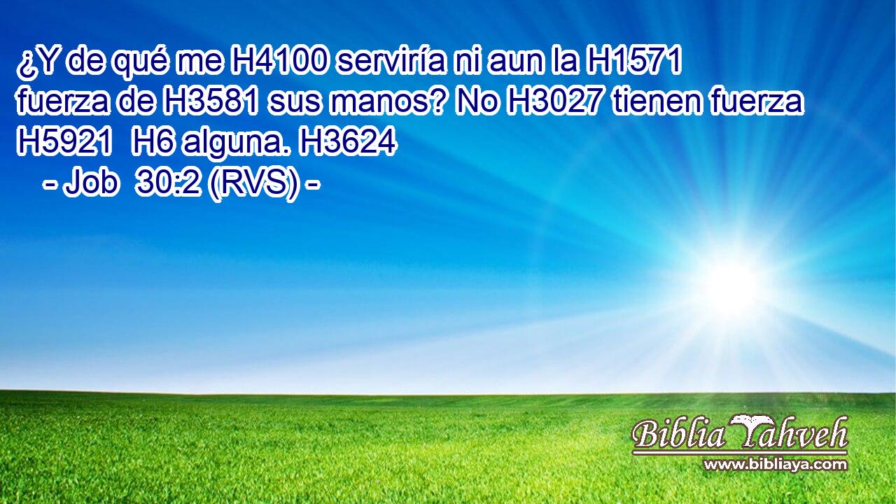 ¿Y de qué me H4100 serviría ni aun la H1571 fuerza de H3581 sus manos? No H3027 tienen fuerza H5921  H6 alguna. H3624  
