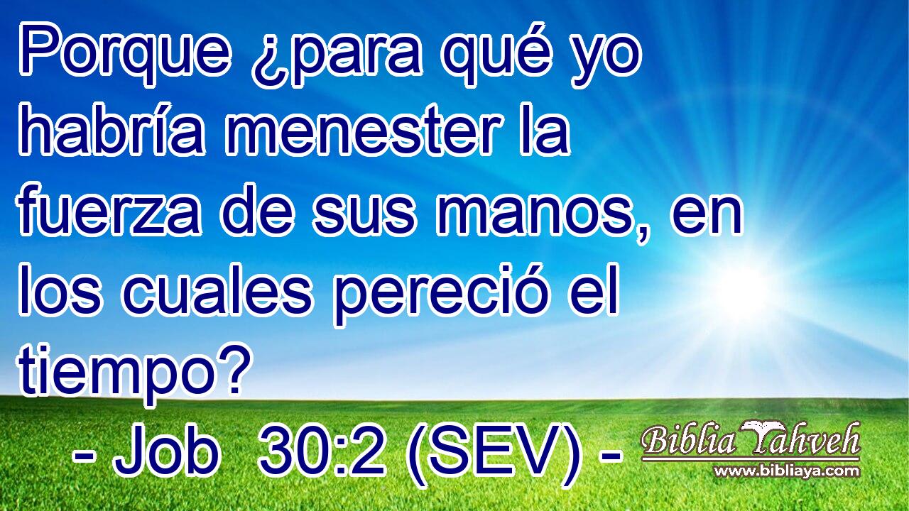 Porque ¿para qué yo habría menester la fuerza de sus manos, en los cuales pereció el tiempo?