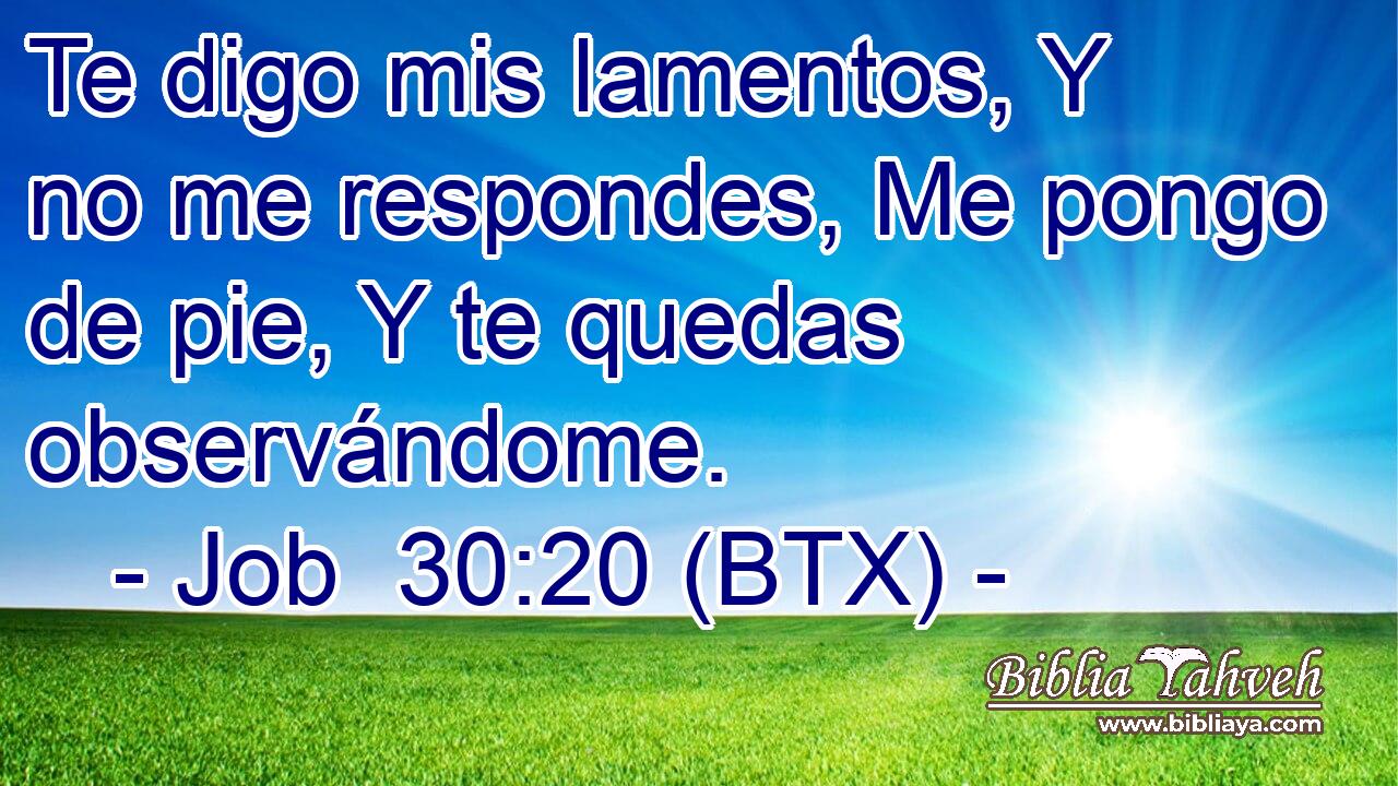 Te digo mis lamentos, Y no me respondes, Me pongo de pie, Y te quedas observándome.