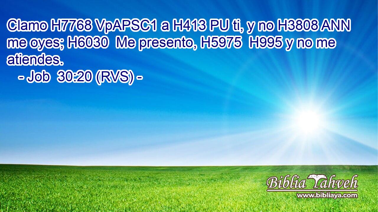 Clamo H7768 VpAPSC1 a H413 PU ti, y no H3808 ANN me oyes; H6030  Me presento, H5975  H995 y no me atiendes. 