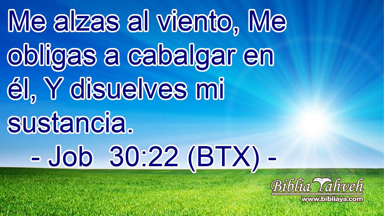 Me alzas al viento, Me obligas a cabalgar en él, Y disuelves mi sustancia.