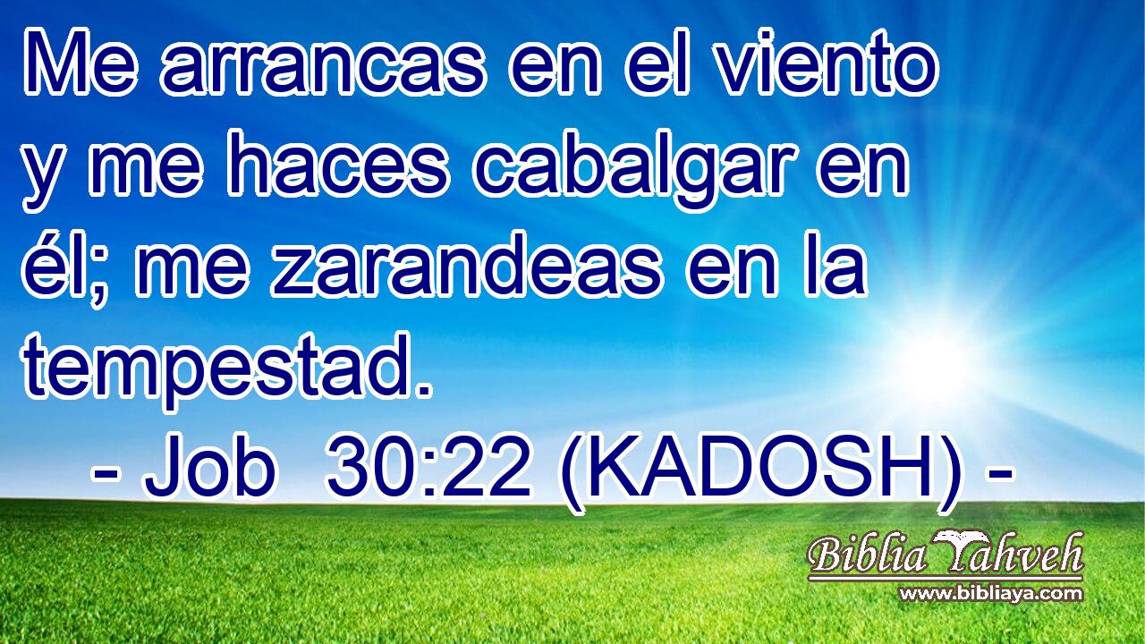  Me arrancas en el viento y me haces cabalgar en él; me zarandeas en la tempestad. 