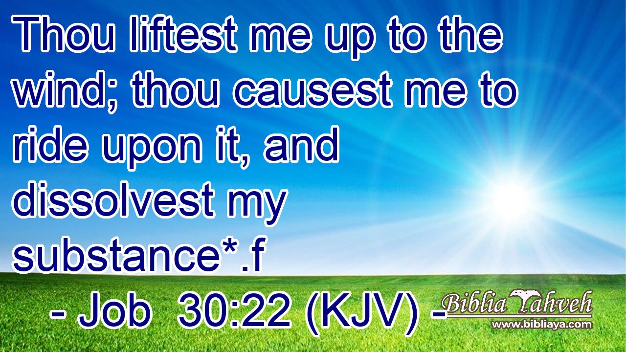 Thou liftest me up to the wind; thou causest me to ride upon it, and dissolvest my substance*.f