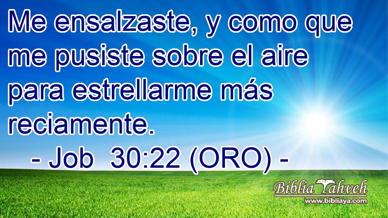  Me ensalzaste, y como que me pusiste sobre el aire para estrellarme más reciamente. 
