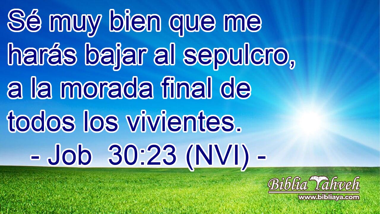  Sé muy bien que me harás bajar al sepulcro, a la morada final de todos los vivientes. 