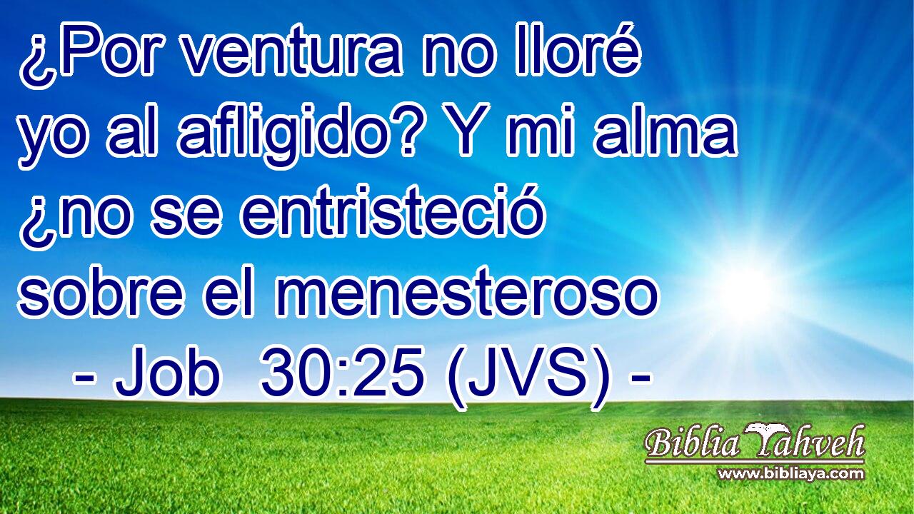 ¿Por ventura no lloré yo al afligido? Y mi alma ¿no se entristeció sobre el menesteroso