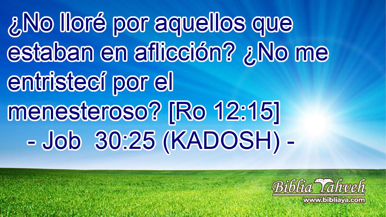  ¿No lloré por aquellos que estaban en aflicción? ¿No me entristecí por el menesteroso? [Ro 12:15] 