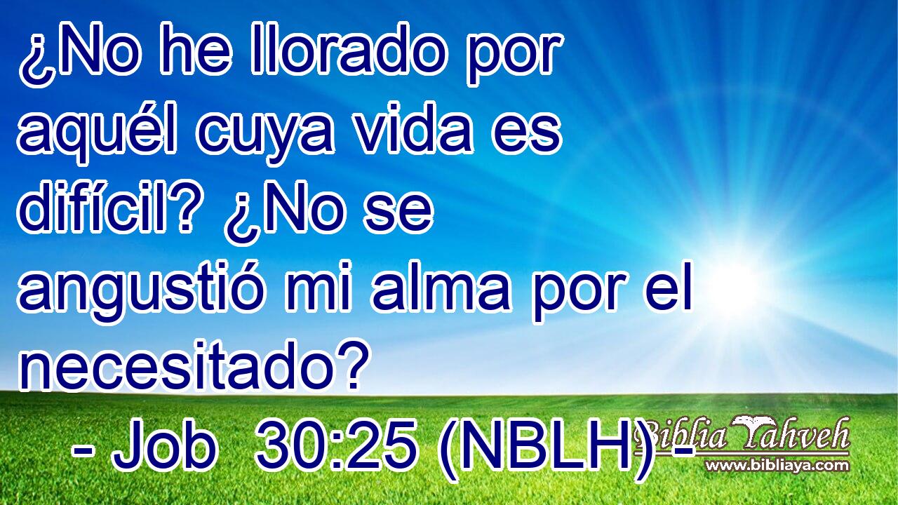  ¿No he llorado por aquél cuya vida es difícil? ¿No se angustió mi alma por el necesitado? 