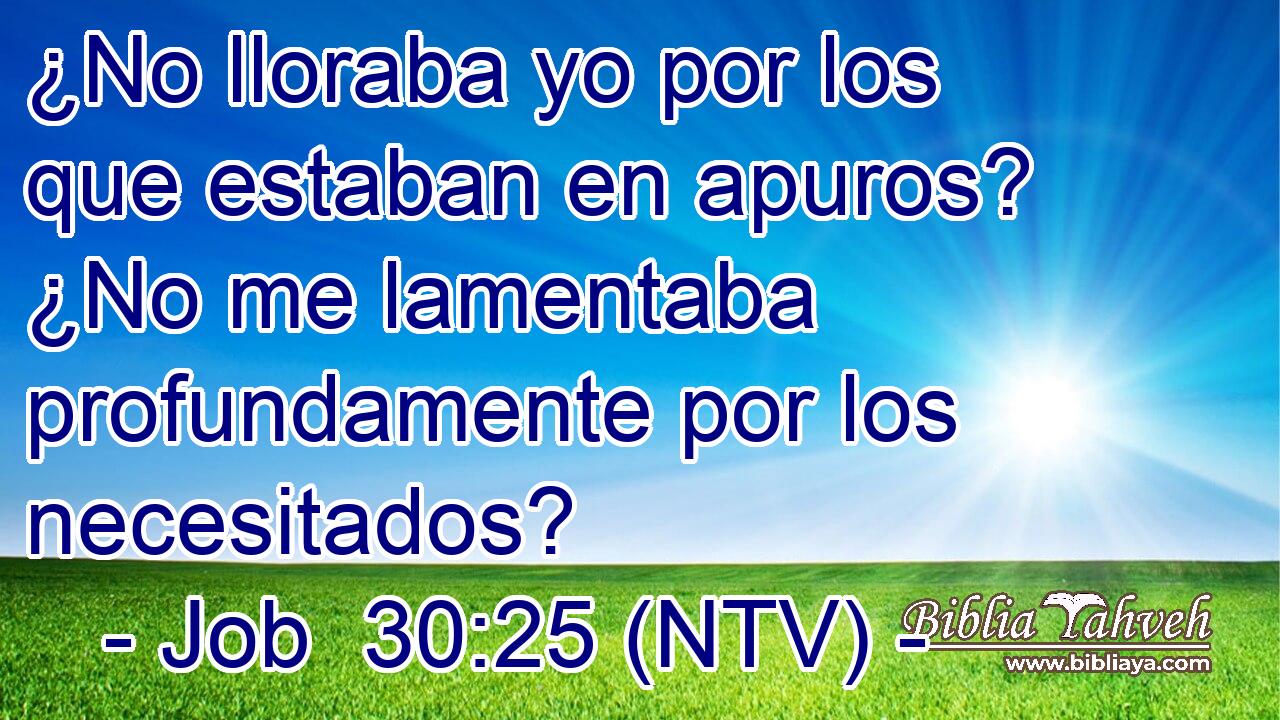¿No lloraba yo por los que estaban en apuros? ¿No me lamentaba profundamente por los necesitados?