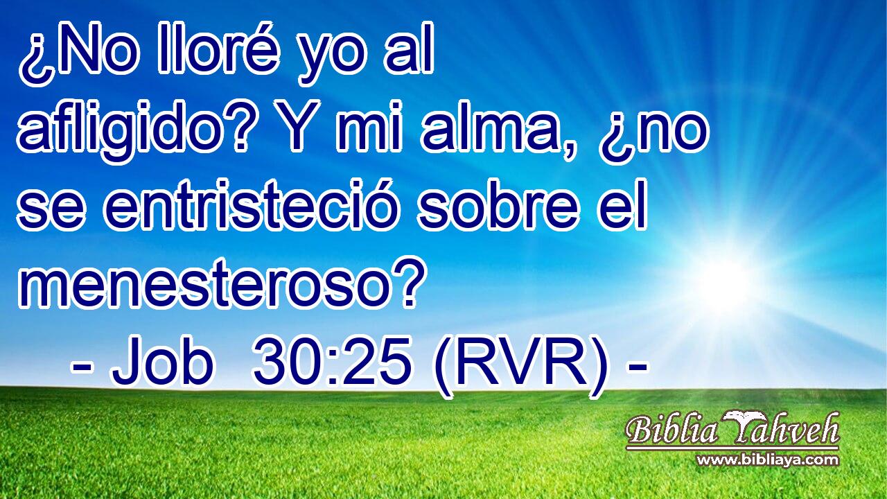 ¿No lloré yo al afligido? Y mi alma, ¿no se entristeció sobre el menesteroso?
