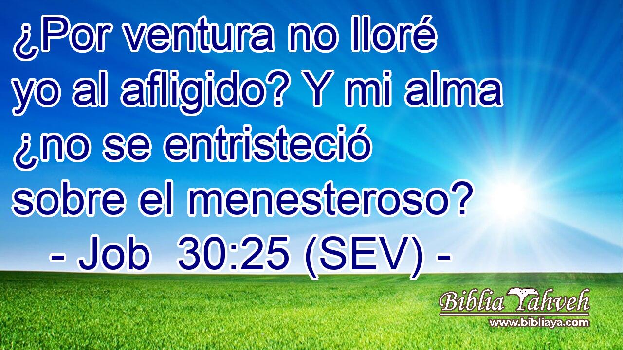 ¿Por ventura no lloré yo al afligido? Y mi alma ¿no se entristeció sobre el menesteroso?