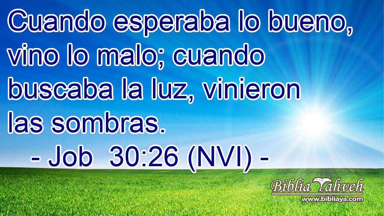  Cuando esperaba lo bueno, vino lo malo; cuando buscaba la luz, vinieron las sombras. 