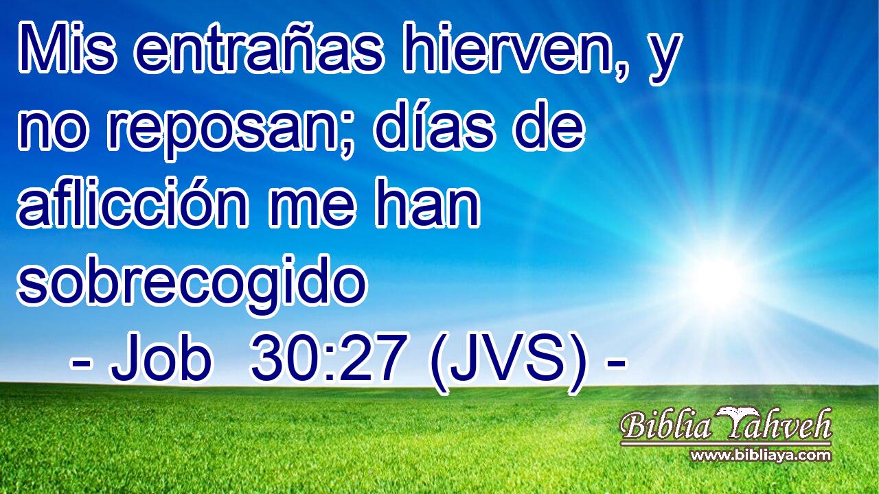 Mis entrañas hierven, y no reposan; días de aflicción me han sobrecogido