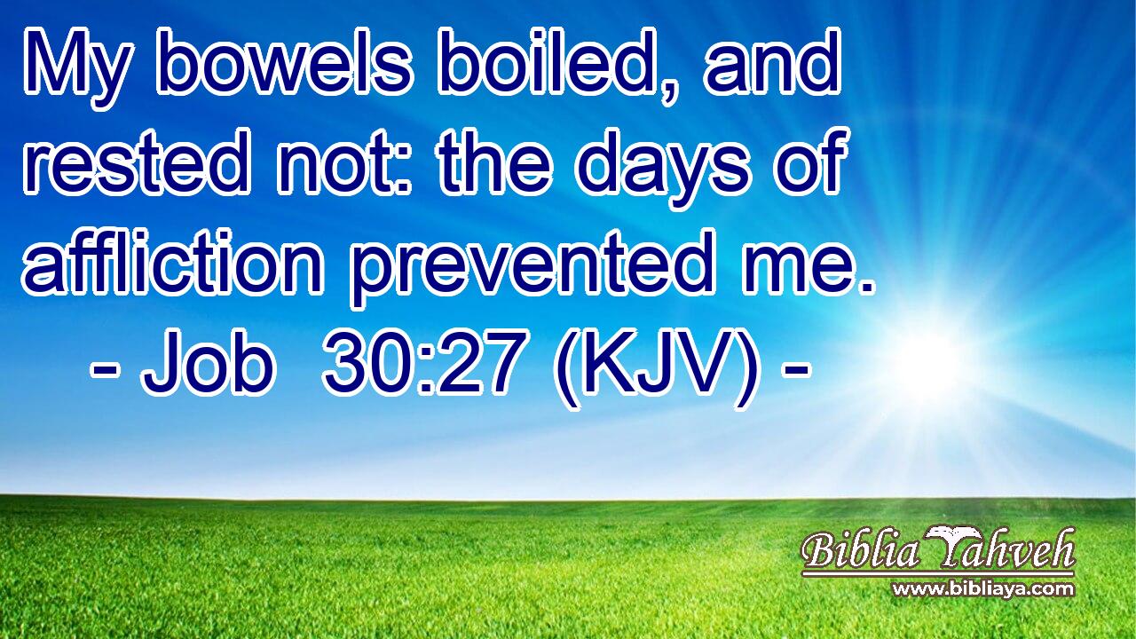 My bowels boiled, and rested not: the days of affliction prevented me.