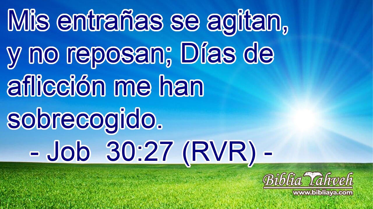 Mis entrañas se agitan, y no reposan; Días de aflicción me han sobrecogido.