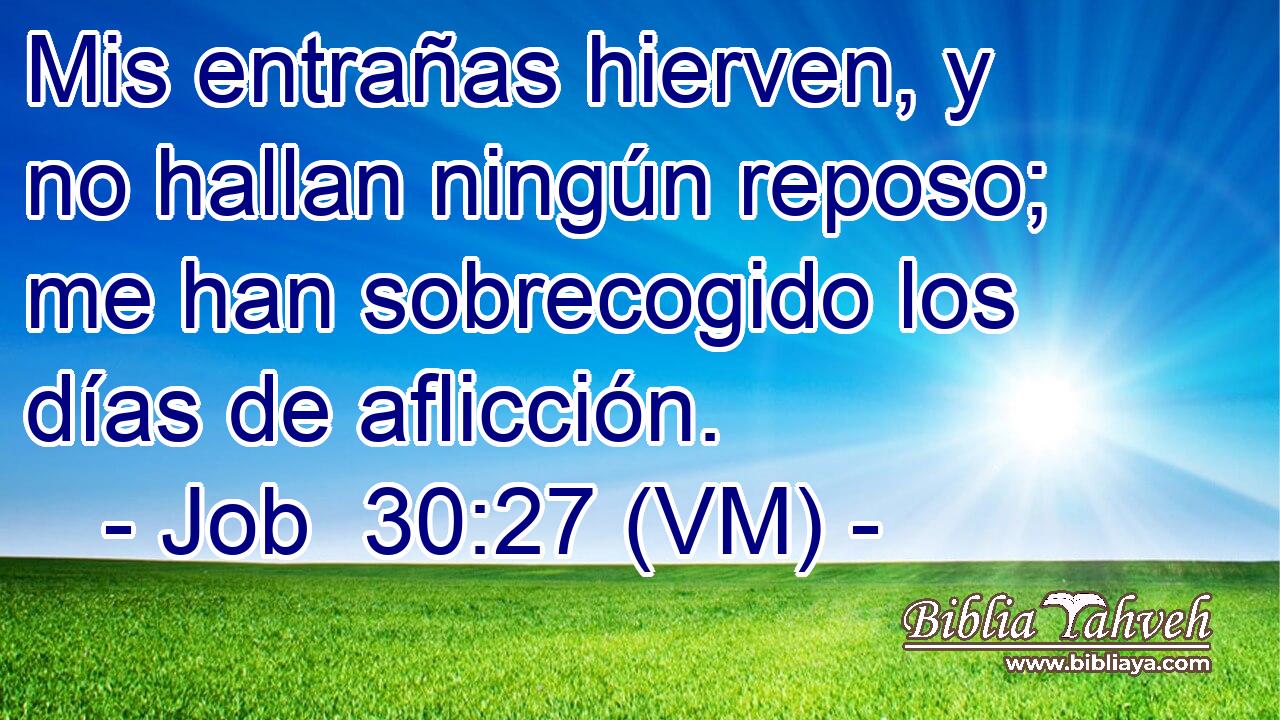  Mis entrañas hierven, y no hallan ningún reposo; me han sobrecogido los días de aflicción. 