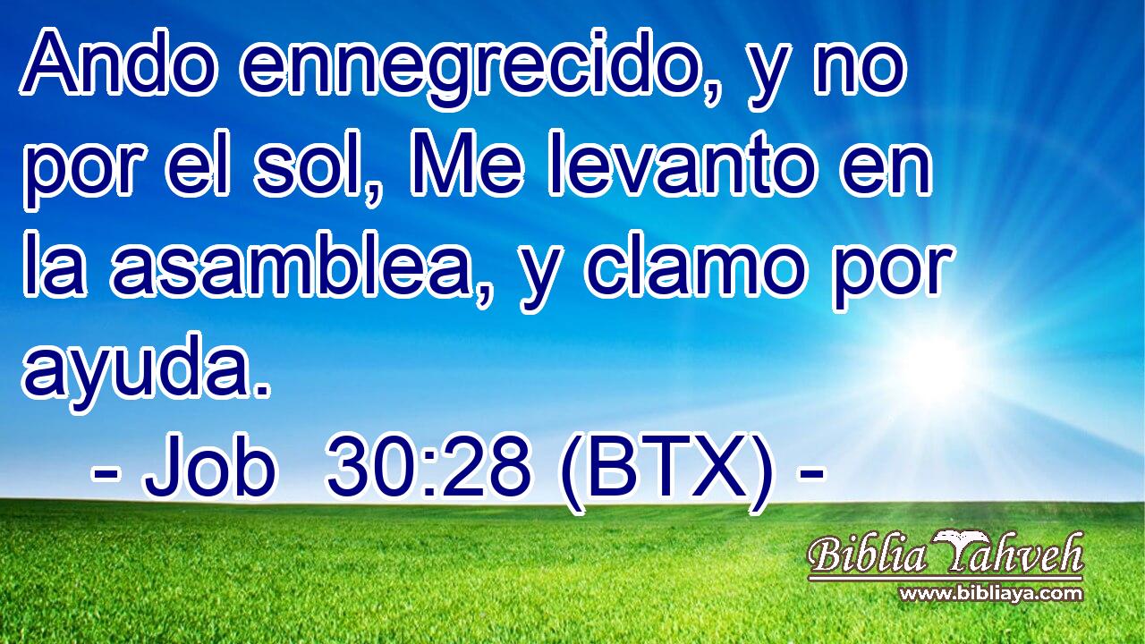 Ando ennegrecido, y no por el sol, Me levanto en la asamblea, y clamo por ayuda.