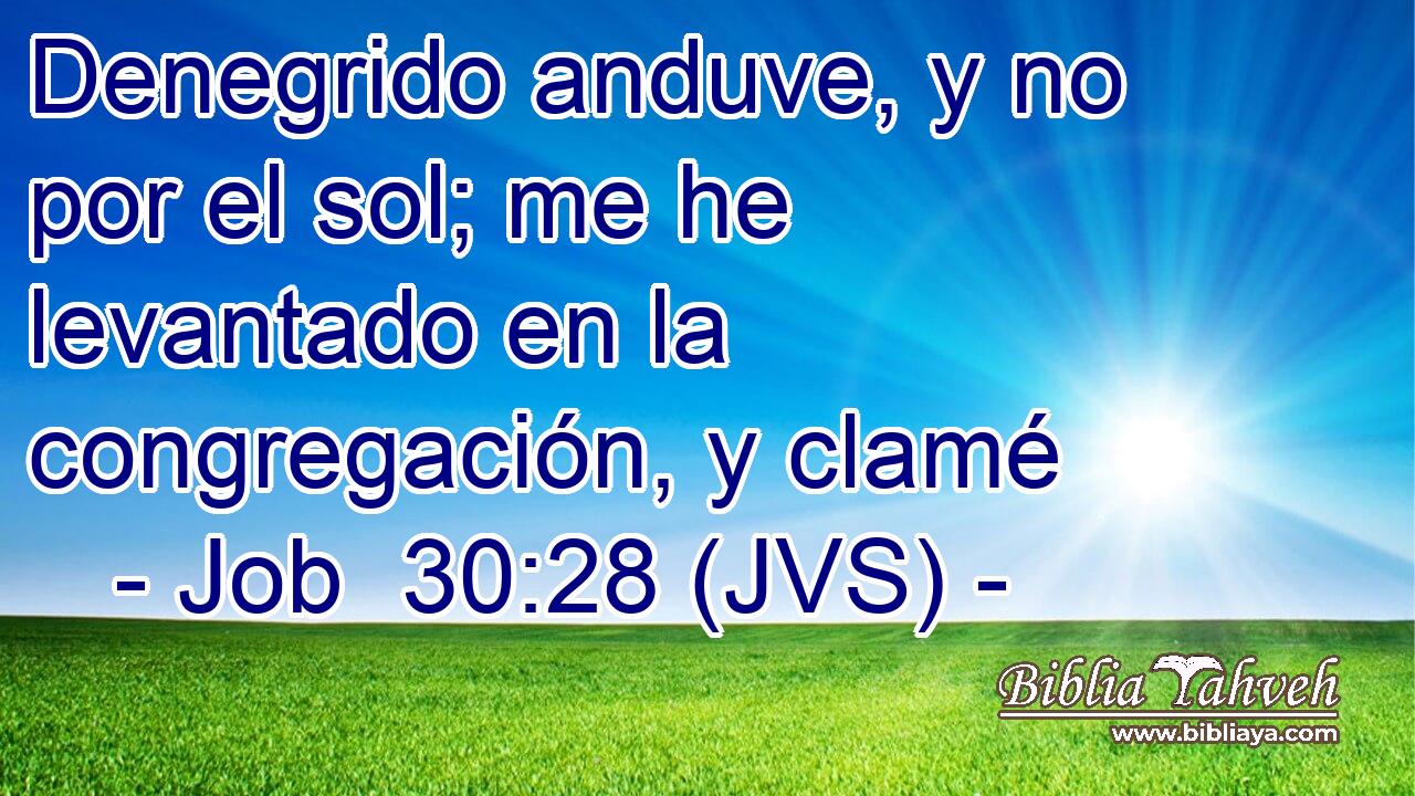 Denegrido anduve, y no por el sol; me he levantado en la congregación, y clamé
