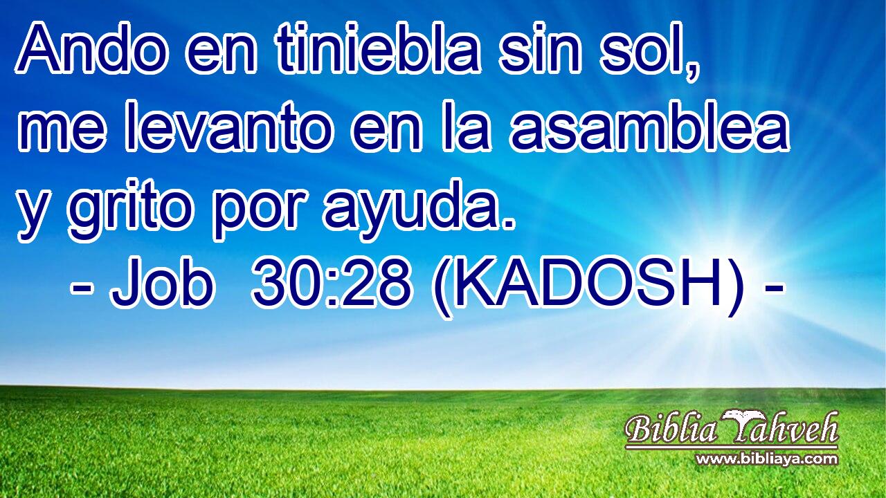  Ando en tiniebla sin sol, me levanto en la asamblea y grito por ayuda. 
