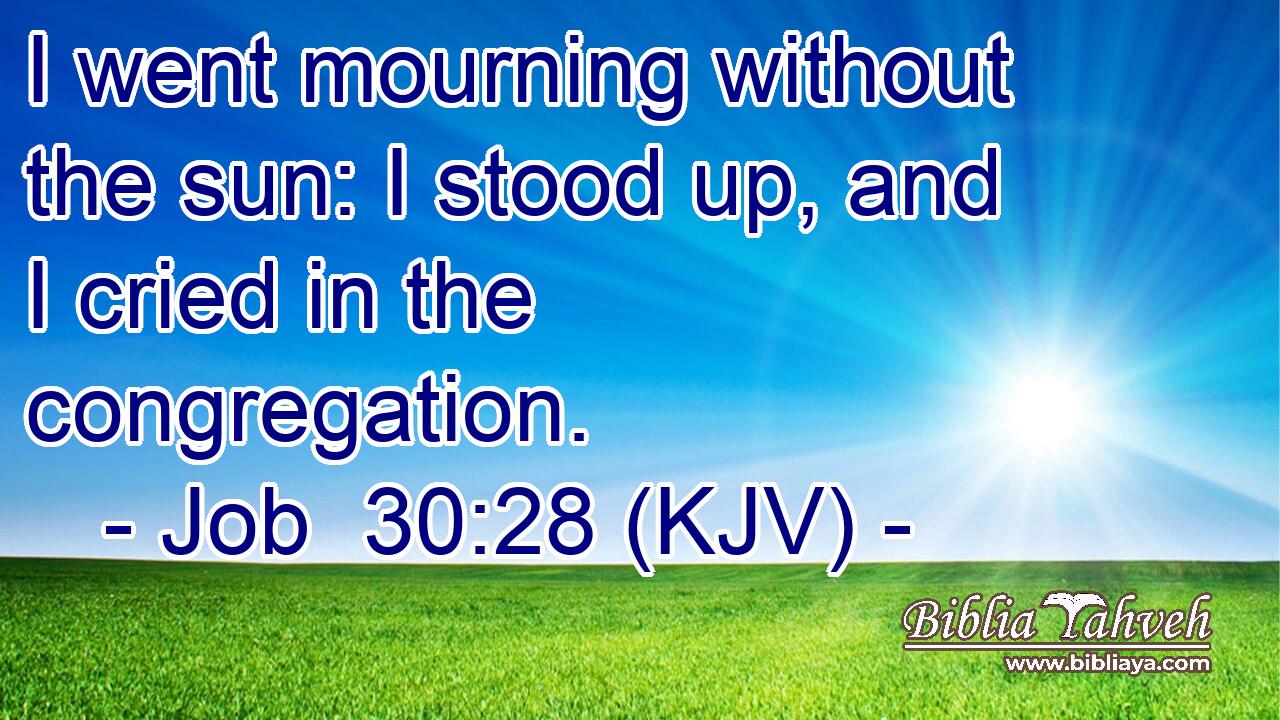 I went mourning without the sun: I stood up, and I cried in the congregation.