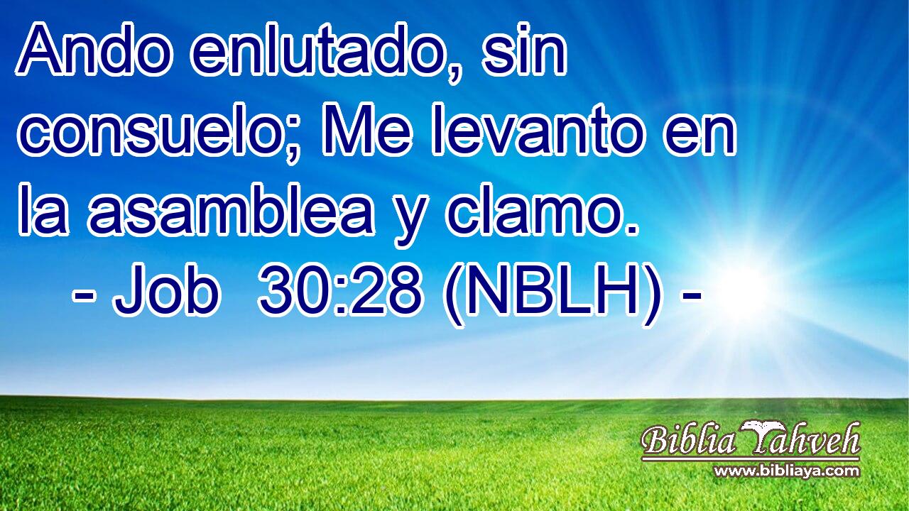  Ando enlutado, sin consuelo; Me levanto en la asamblea y clamo. 
