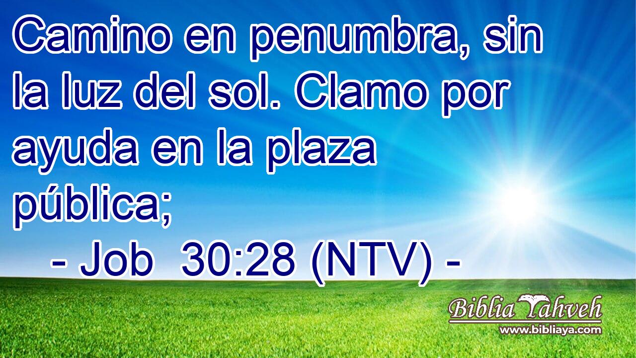 Camino en penumbra, sin la luz del sol. Clamo por ayuda en la plaza pública;