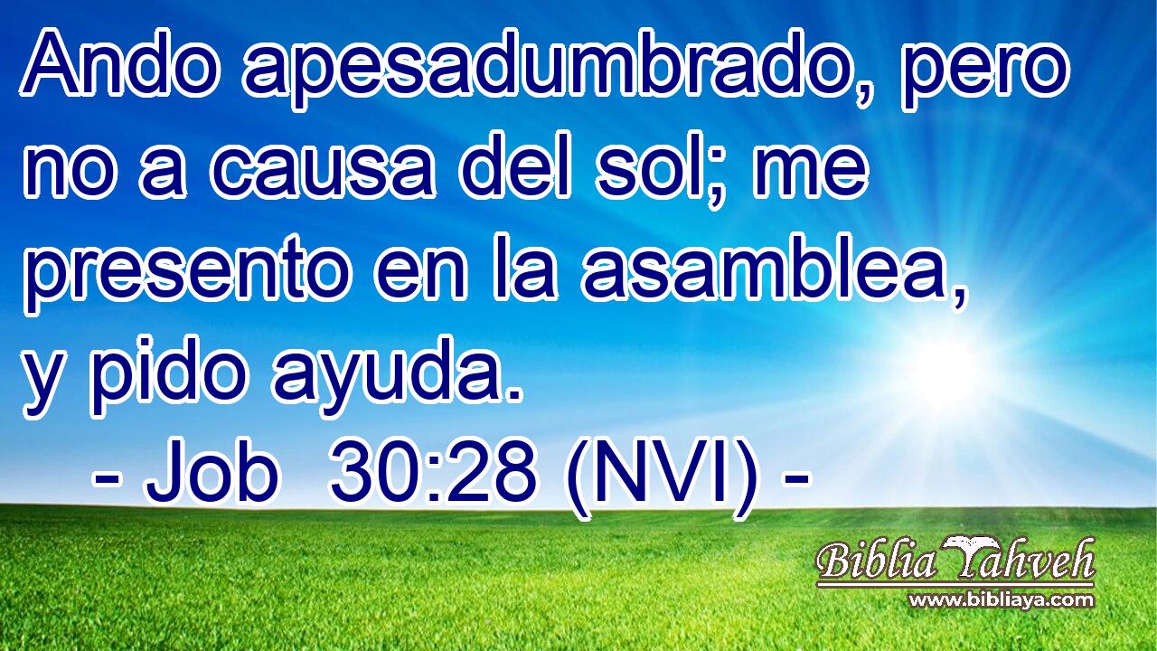  Ando apesadumbrado, pero no a causa del sol; me presento en la asamblea, y pido ayuda. 