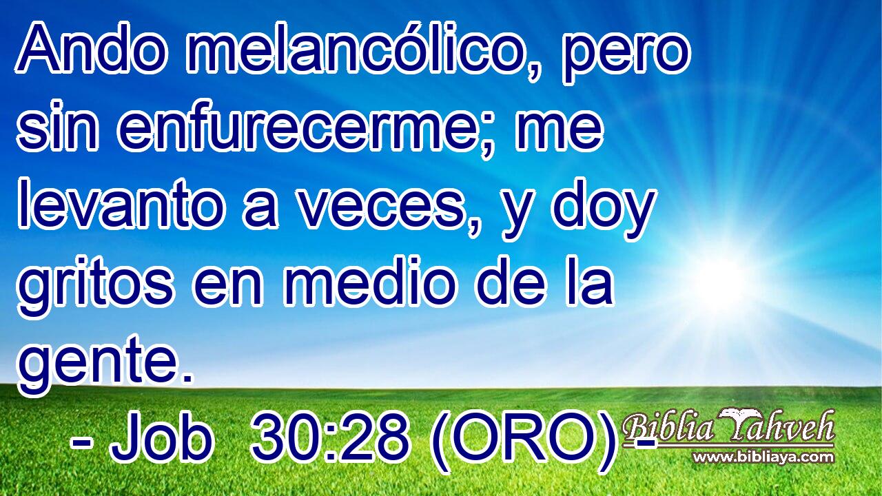  Ando melancólico, pero sin enfurecerme; me levanto a veces, y doy gritos en medio de la gente. 