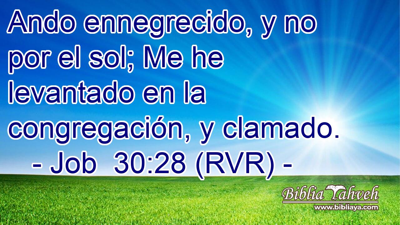 Ando ennegrecido, y no por el sol; Me he levantado en la congregación, y clamado.