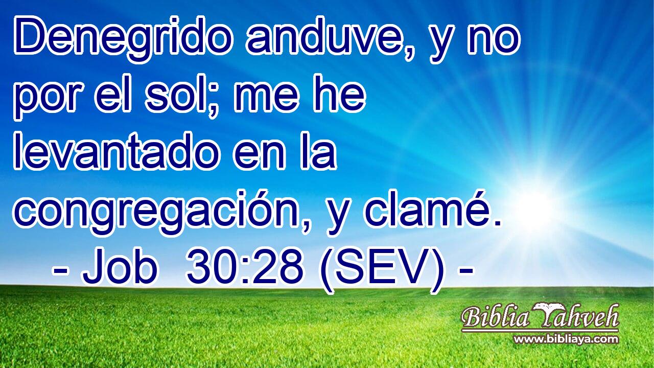 Denegrido anduve, y no por el sol; me he levantado en la congregación, y clamé.