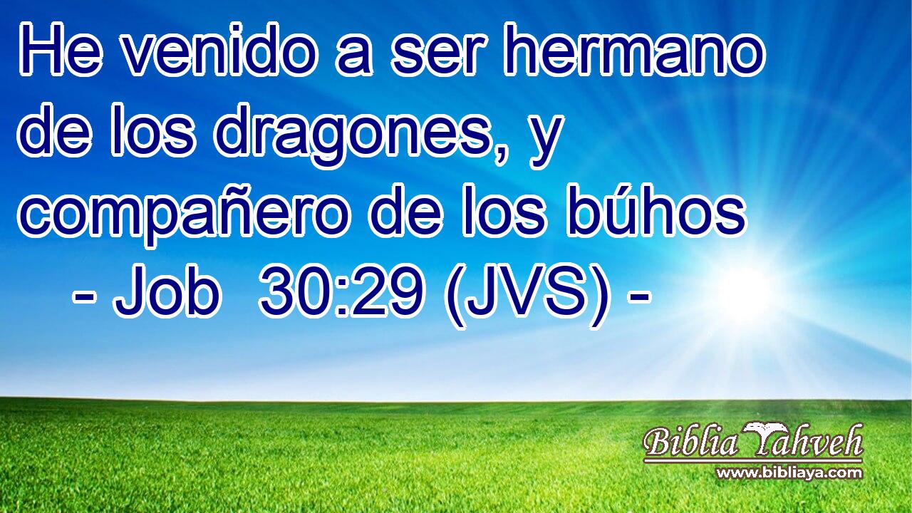 He venido a ser hermano de los dragones, y compañero de los búhos