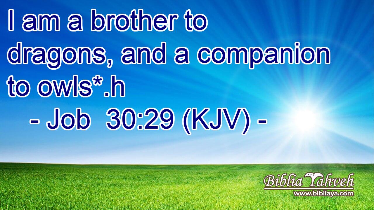 I am a brother to dragons, and a companion to owls*.h