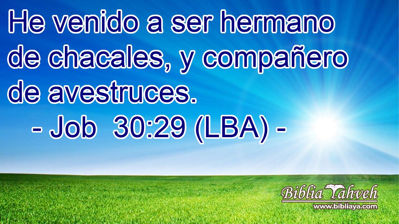 He venido a ser hermano de chacales, y compañero de avestruces.