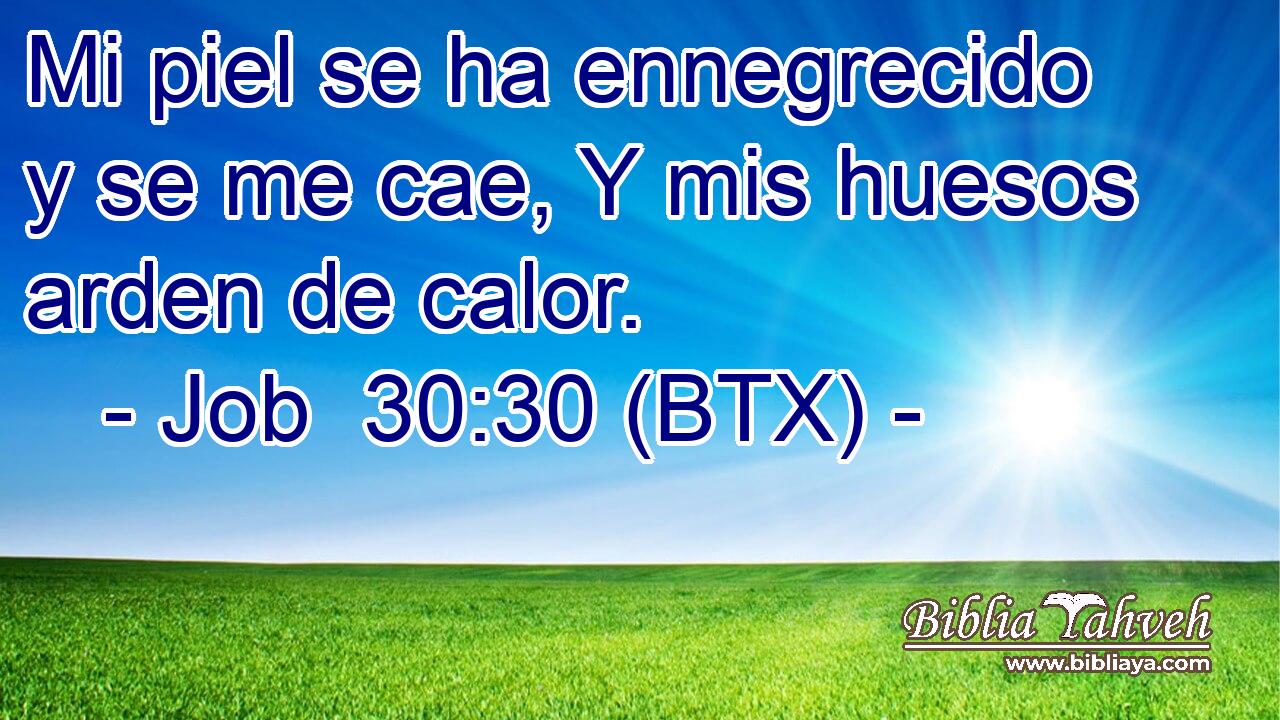Mi piel se ha ennegrecido y se me cae, Y mis huesos arden de calor.