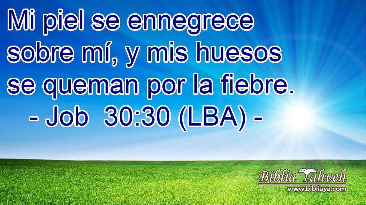 Mi piel se ennegrece sobre mí, y mis huesos se queman por la fiebre.
