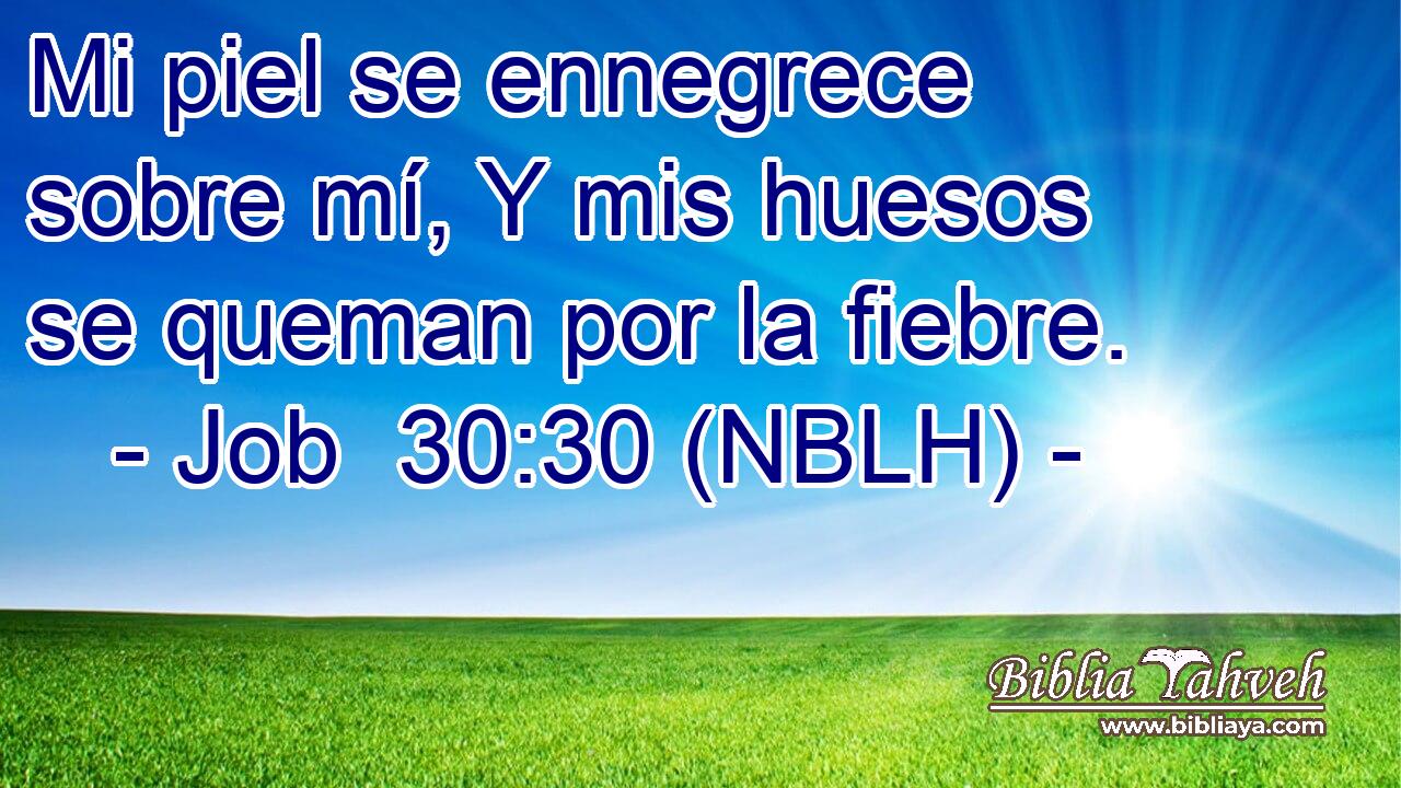  Mi piel se ennegrece sobre mí, Y mis huesos se queman por la fiebre. 